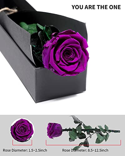 Image of Purple Flowers for Delivery Prime, Preserved Purple Roses Flower Gifts for Women, Real Roses Single Rose Gifts for Her, Mom Birthday Gifts from Daughter, Valentines Flowers