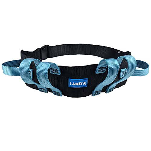 15 Best Gait Belt Our Picks, Alternatives & Reviews