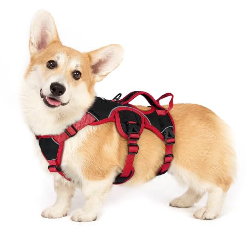 rabbitgoo Escape Proof Dog Harness for Small, No Pull with Lift Handle