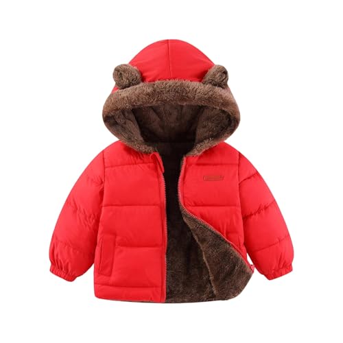 Toddler Baby Boys Girls Fleece Lined Jacket Cute Sweatshirt Waterproof Padded Coats Kids Fuzzy Puffer Jacket Bear Ears