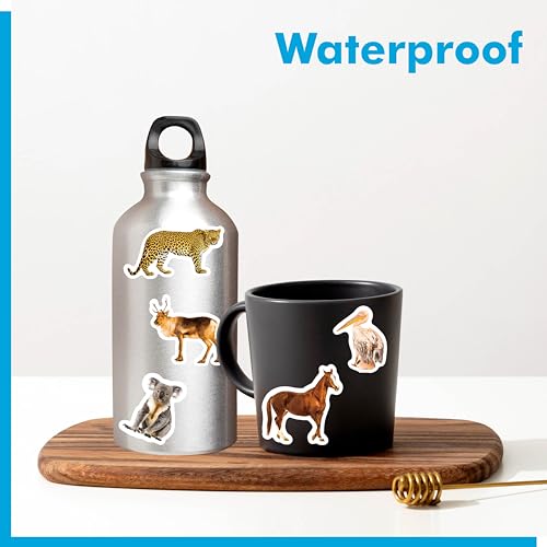 700枚 野生動物ステッカー 100枚以上 リアルな動物 かわいい動物園 動物ステッカー 耐水/破れにくい 残留物なし 洗えるデカール 教師 子供 学生 水筒 ノートパソコン スクラップブック用