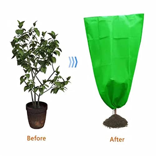 Cobertores de plantas Proteção contra congelamento - Coberturas de gelo à prova de frio para plantas