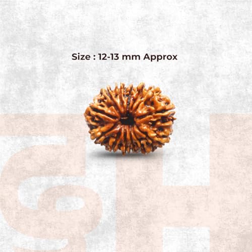 Image of Divine Hindu Authentic 13 Mukhi Rudraksha Bead (Lab Certified) - Original Thirteen Face Nepali Rudraksha for Success, Charisma & Kaamdev Blessings - Natural Brown Prayer Bead for Men & Women