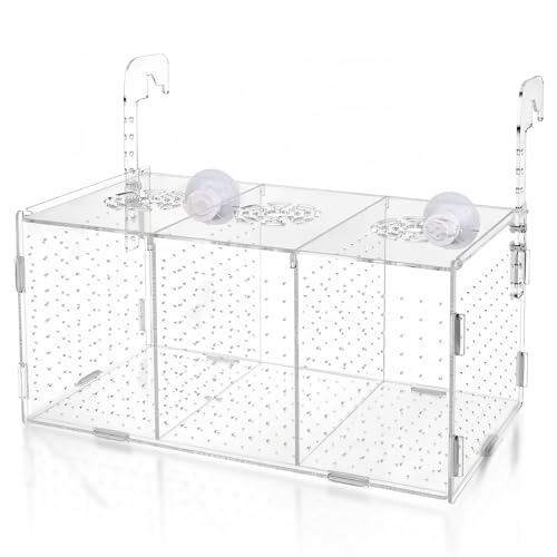 Pondoir Aquarium, Boîte D'Élevage en Acrylique, Couveuse Poisson Aquarium D'Isolation pour Petits Poissons, Crevettes, Poissons-Clowns, Guppys (30x15x15cm)