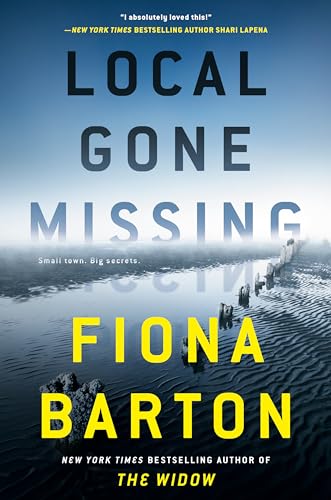 Local Gone Missing view 2