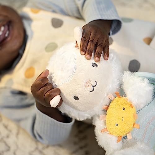 Image of Ingenuity Calm Springs Plush Activity Pal BPA-Free Cloud Teether, Multi-Texture Fabrics, Sheppy