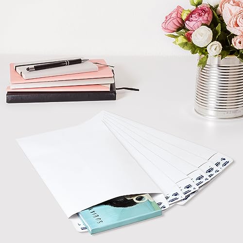 ValBox 6x9 Self Seal Security Catalog Envelopes 250