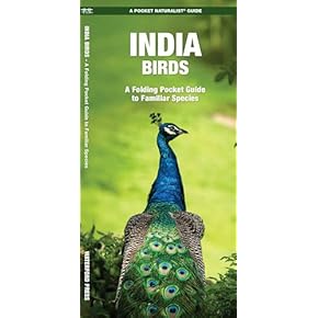 Amazon.co.jp: India - Asia: 洋書