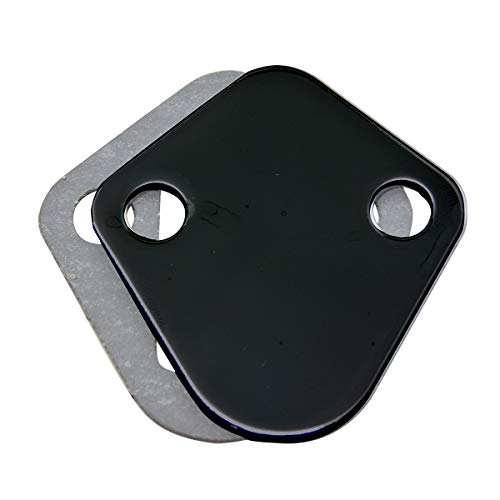 Black Steel Fuel Pump Block Off Plate Chevy/Ford Big Block
