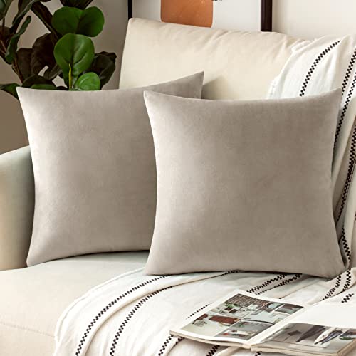 Woaboy 2 Piezas Funda de Cojines de Terciopelo Funda de Almohada Suave Cojines Decorativos Decoración Moderna para Sofá Silla Cama Habitación Oficina Dormitorio 40x40cm Cider Cover