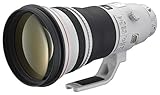 Canon EF 400mm 1:2,8 L IS II USM Objektiv (52 mm Filtergewinde, bildstabilisiert)