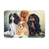 Paillasson extérieur, paillasson antidérapant d'entrée intérieure, Tapis de Patio extérieur 40x60 cm, Noir Golden Cavalier King Charles Spaniel