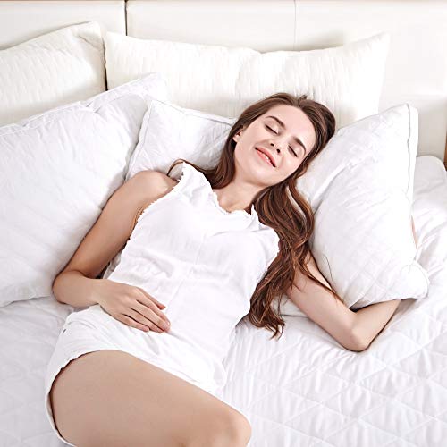 Sable Pillows for Sleeping 2 Pack,Hotel Quality Bed Pillows,Down Alternative Pillows for Side and Back Sleepers,Soft and Supportive Pillows Queen Size
