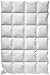 Produktbild Billerbeck 5541900003 Daunendecke S02 Kassette II, 155 / 220 cm weiß