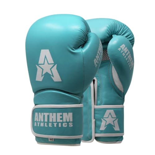 The 5 Best Muay Thai Gloves For Pad Work