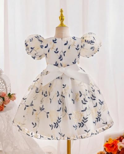Image of TAGAS Girls Floral Embroidered Party Dress | Puff Sleeve Peter Pan Collar Frock | Elegant Net Princess Dress for Baby Girls | Birthday, Wedding, Ages 2-7 Years | Blue /Red