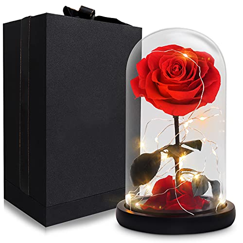 Foleto Preserved Real Rose with LED, Eternal Rose in Glass Dome Gifts for Women Mother's Day Christmas Valentine's Day Birthday for Girlfriend Wife (Red, Large)