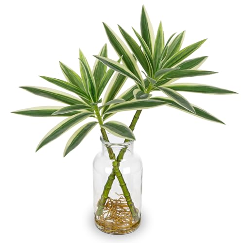 Artificial Plants Stems in Glass Vase with Faux Water,Fake Silk