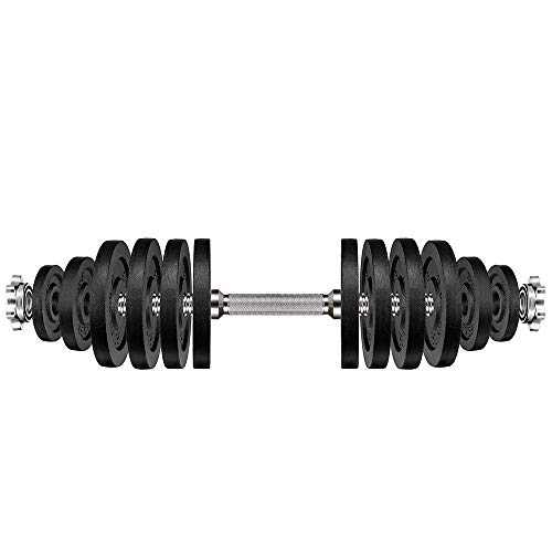 papababe Adjustable Dumbbells Cast Iron with Connector 40 50 65 105 200, Adjustable Dumbbell Sets, Lifting Dumbells. (52.5, Pair)