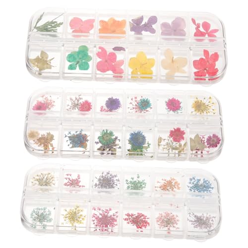 Kit de Flores Naturales Secas y Resina para Manualidades miniatura 1