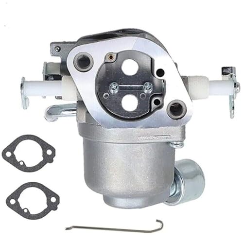 Carburateur pour 593197 594207 moteur de tondeuse G02824