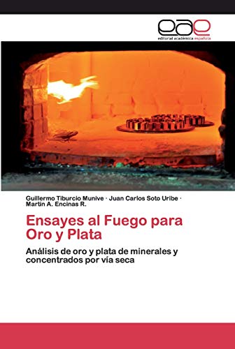 Ensayes al Fuego para Oro y Plata: AnÃ¡lisis de oro y plata de minerales y concentrados por vÃ­a seca (Spanish Edition)