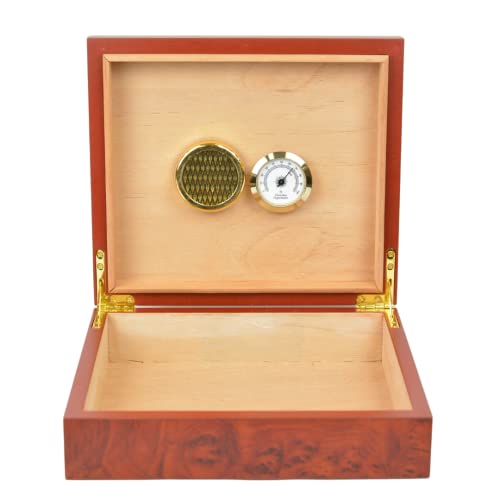 10 Best Cigar Humidors Reviewed & Buyer’s Guide Teach Me Cigars