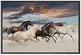 NWT Framed Canvas Print Wall Art Brown & White Horse Group at Sunset Animals Wildlife Photography...