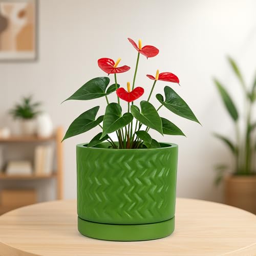 Image of Urban Plant Terracotta Pot with Saucer - Trendy Planter for Modern Home & Garden Spaces (Fresh Breath Terracotta Pot - Zigzag)