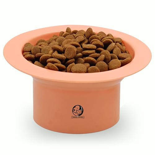 Image of Foodie Puppies Cat Food and Water Raised Feeder (SaturnRing Bowl) | Durable, Anti Vomiting, Healthy Cat Bowl for Persian Cats Prevent Tipping Over | Elevated Feeder for Cats and Small Dogs