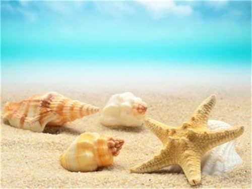 ZCLNYVGJ Kit Pintura Diamante 5d Completo, Estrella de mar con concha DIY Diamond Painting Kit para Adultos,Diamante Pintura Kit para Regalo Cumpleaños y Decoración Pared(round Drill) 30x40cm