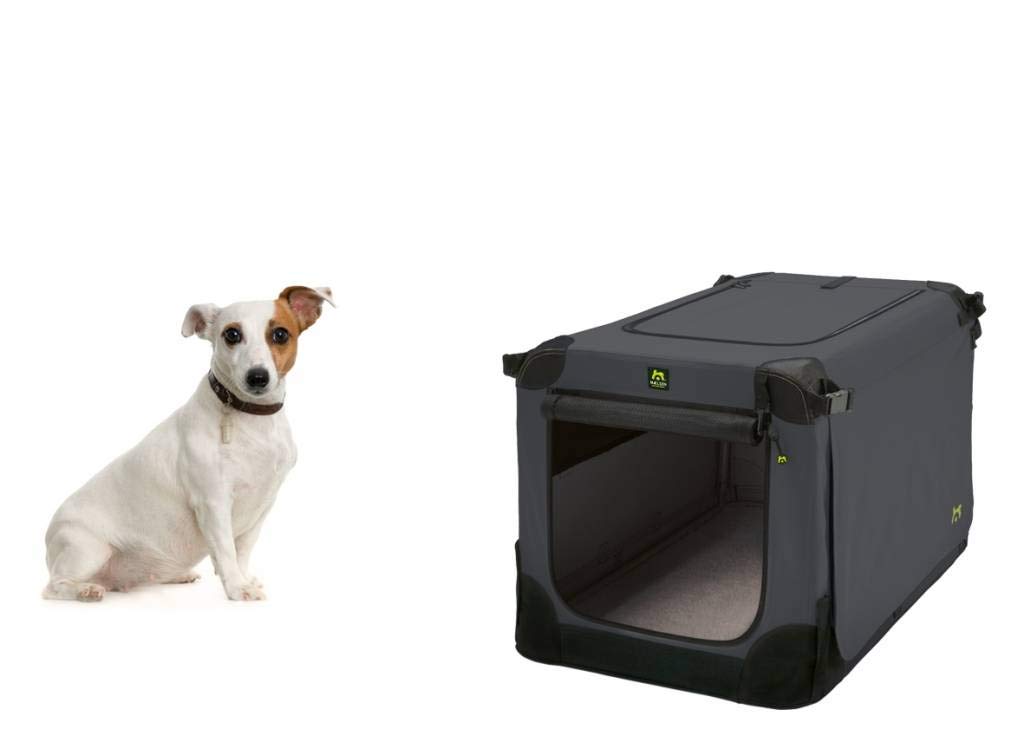 Maelson 90172 Transporter Dla Psa, 72 x 52 x 51 cm, Antracytowy