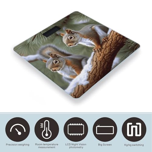 Báscula Digital Little Squirrel Peso Corporal Precisa miniatura 3