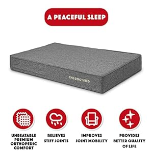   The-Dogs-Bed-Orthopedic-Memory-Foam-Dog-Bed-XL-Grey-Linen-46x28-Pain-Relief-for-Arthritis-Hip-Elbow-Dysplasia-Post-Surgery-Lameness-Calming-Waterproof-Washable-Covers