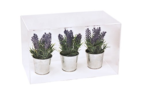 Better Display Cases Versatile Acrylic Clear Display Case - Medium Rectangle Box With Black Base 14" X 8" X 8.5" (A011-Cds) #TOP3