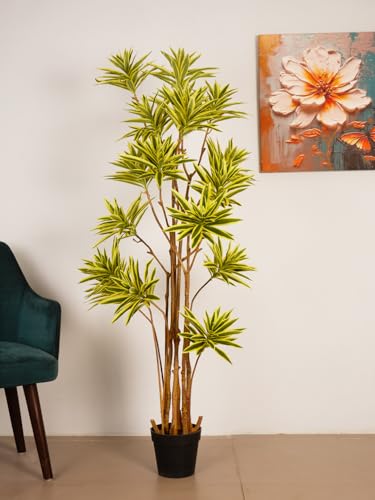 Image of ARICK DECOR 5.6ft Artificial Dracaena Reflexa Tree - Large Faux Lush Peacock Shaped Floor Plant with Black Pot for Indoor Home Office Decor - 170cm Green