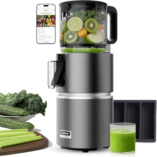 Anybear Entsafter mit 124 mm Einfüllschacht | 350W Slow Juicer mit Doppel-Zerkleinerungstechnologie für Ganze Früchte & Gemüse | Hohe Saftausbeute | BPA-freies Tritan-Material | Mit Saftrezepten