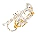 AUROSUS Double Trigger Bb Cornet 8358S Intermediate phosphor bronze Leadpipe 3rd Tuning Slide Finger Ring Brass Bell SGG Finish Nickel Silver Tuning Slides for High School Band and Advancing Players