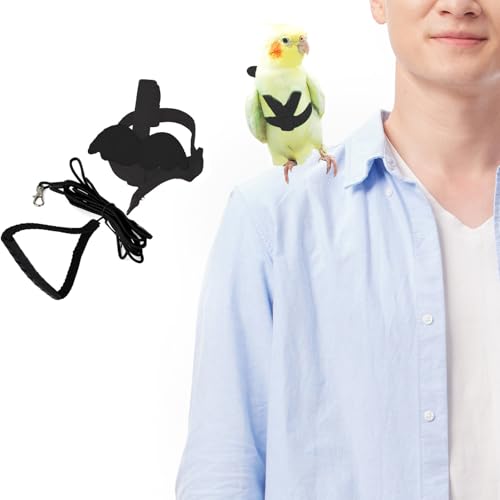 Adjustable Bird Leashes and Harnesses, Bird Nylon Harness with Cute Wing for Parrots, Pet Bird Accessories, Bird Leash for Hang Out, Suitable for Cockatiel, Quaker, Amazon Parrot and Same Size Birds