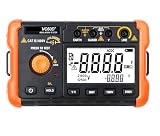 Ampio display LCD chiaro: dotato di uno schermo digitale sovradimensionato for risultati immediati e di facile lettura, riducendo significativamente l'errore umano associato ai tradizionali misuratori analogici.