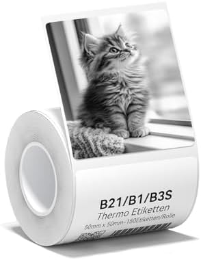 NIIMBOT Etiquetas térmicas B1 B21 B3S de 50 x 50 mm para alimento...