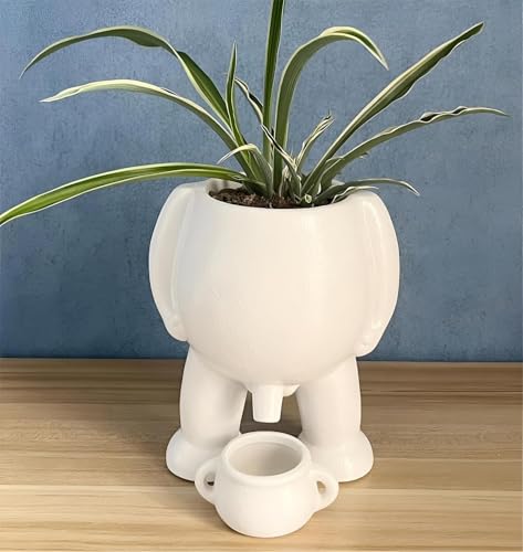 【Fioriere uniche per qualsiasi spazio】 ： Trasforma il tuo giardino interno o esterno con queste fioriere uniche. Il loro design di novità li rende perfetti per aggiungere un tocco eccentrico a qualsiasi spazio, sia che si tratti del tuo salotto, balcone o patio.