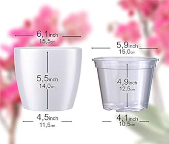 SMEREKA Orchid Repotting Kit with 6-Inch Clear Slotted Pots, Premium Potting Mix, Fertilizer, Cytokinin Paste, and Supportive Clips for Healthy Indoor Orchid Growth