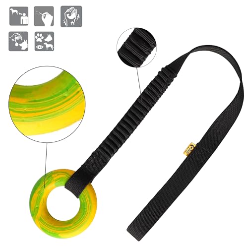 Dingo Spielzeug mit Ring # 10 cm Griff Bungee 65 cm Hundespielzeug Spielen mit Hund Training Apporte 15674