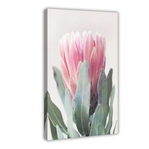 Toile King Protea Rose : Ambiance Douce pour Bureau et Chambre