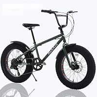 BMX ファットバイク Amazon | ACEXIS ファットバイク Fat City Cruiser BMX 自転車 シティ