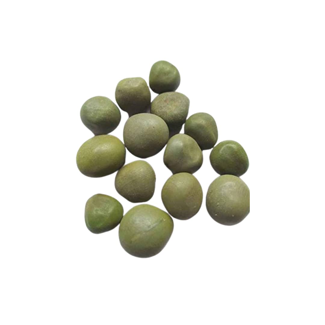 EpoojaCart - Gacha Kayalu- Fever nut- Gacha kaya (100 gms) (B097N4WP61) Amazon Price History, Amazon Price Tracker