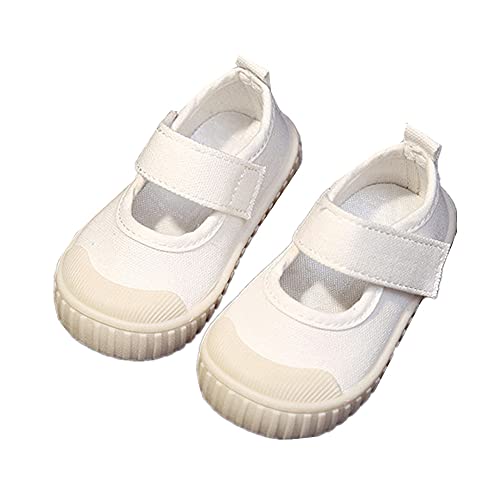 [PJ] C LbY 㗚 xr[ Xj[J[ ̎q j̎q q LoX Z  ʊw ʉ o[ ʋC C ct ܐی ̈كV[Y o[V[Y hX zCg 