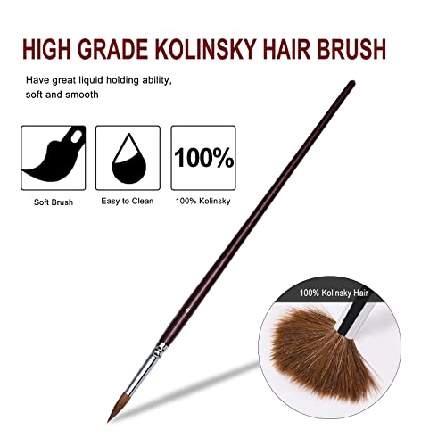 Kolinsky Watercolor Brush Set Pure Kolinsky Sable Hair Pointed Round Art Paintbrushes Premium 6 Pcs Round Tip Paint Brush Artist Acrylic Brush For Watercolor, Art Painting Gouache, Face Painting #TOP3