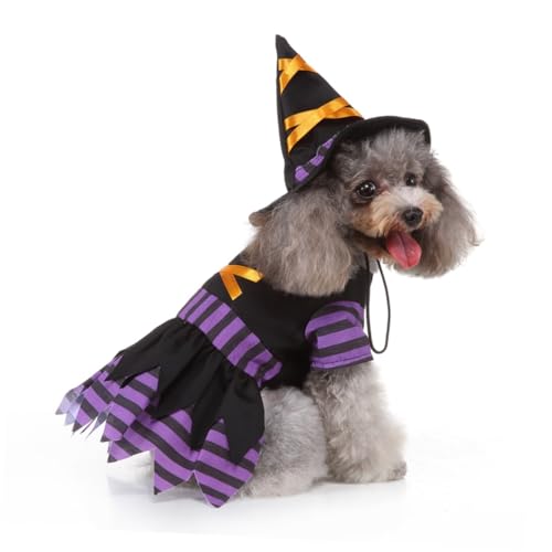 Disfraz de Bruja para Perros Talla L BCOATH